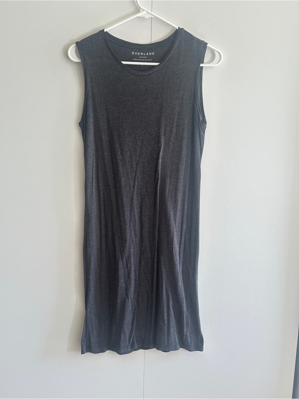 Everlane Sleeveless Shift Dress